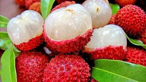 Do you know what are the important qualities in litchi