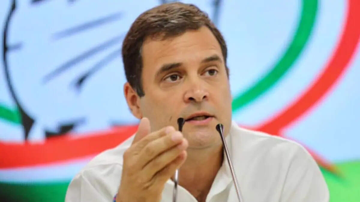 राहुल गांधी ने सरकार पर धावा बोला, कहा मैं प्रधानमंत्री नरेंद्र मोदी से नहीं डरता.....