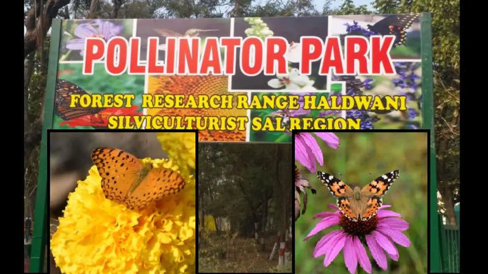 Pollinator Park