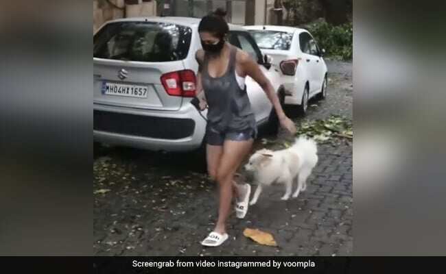 Malaika Arora once again trolled on social media