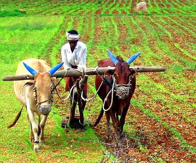 किसानों के लिए डेढ गुना लागत बढी